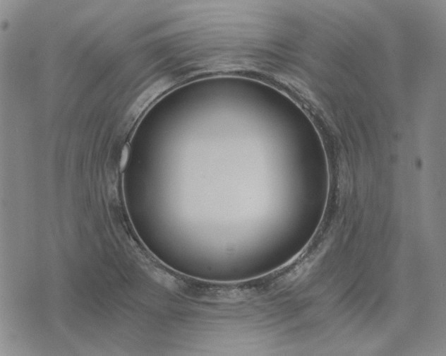 X0000076391273200610161131