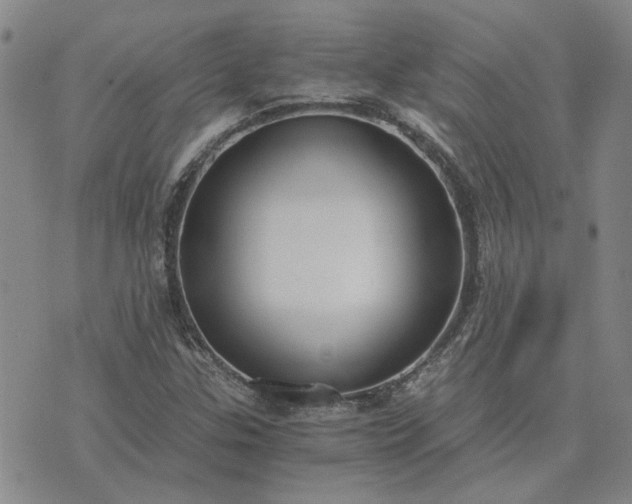 X0000076391307200610161130