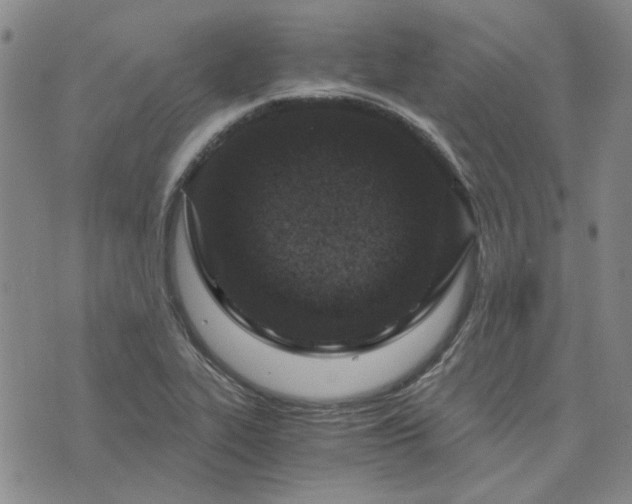 X0000076391319200610161130