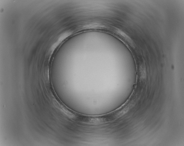 X0000076391322200610161130