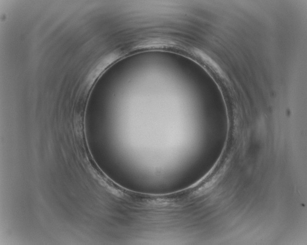 X0000076391329200610161130