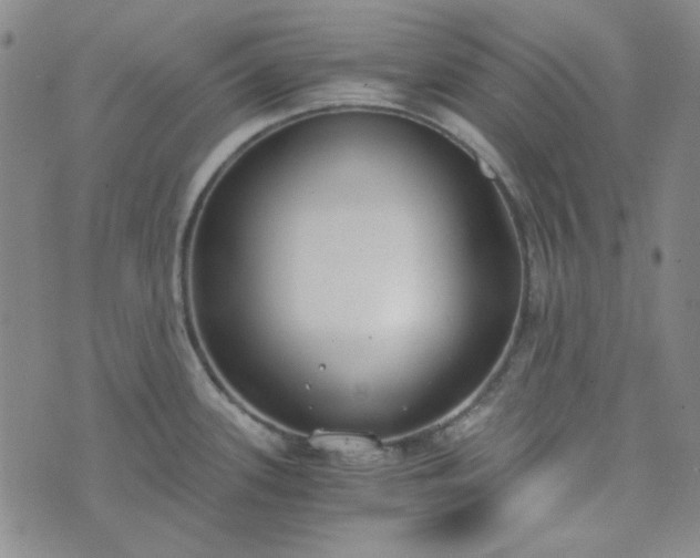 X0000076391339200610161131