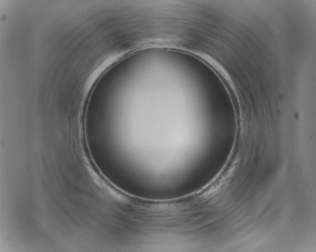 X0000076391341200610161131