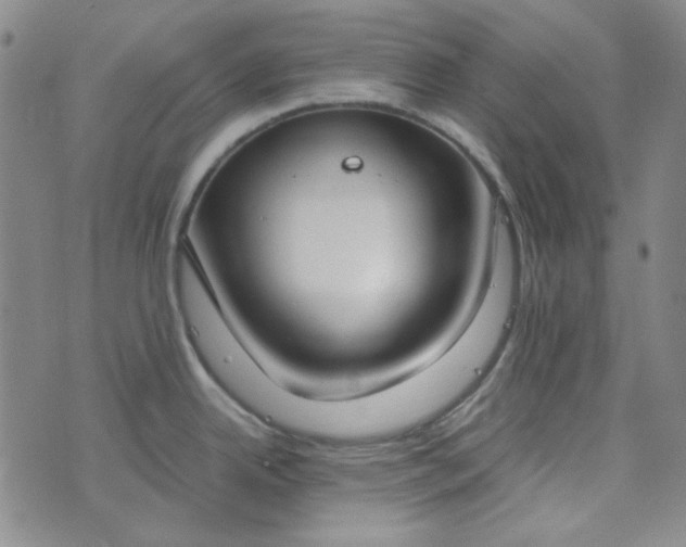 X0000076391342200610161131