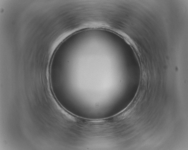 X0000076391343200610161131