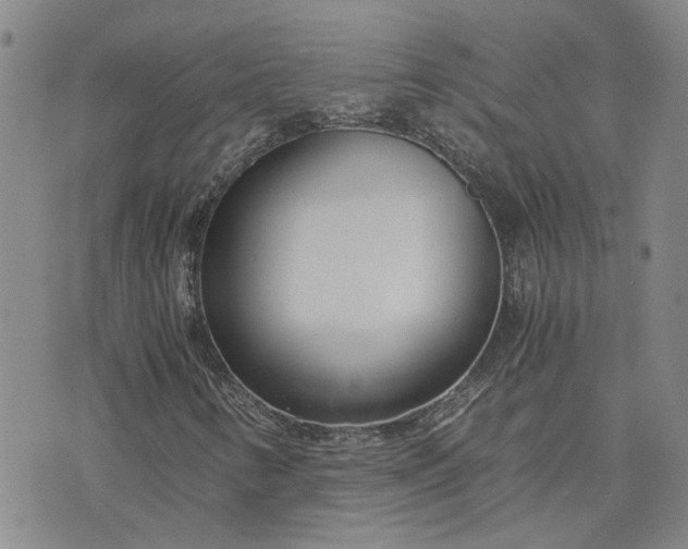X0000076391346200610161130