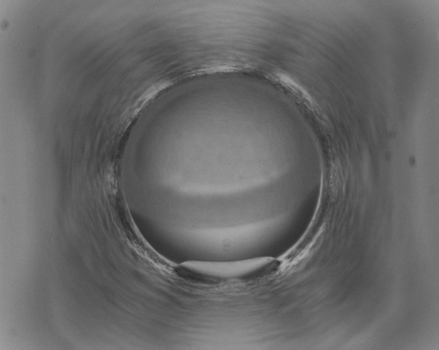X0000076391353200610161130