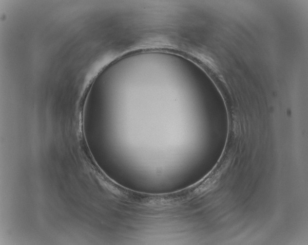 X0000076391366200610161129