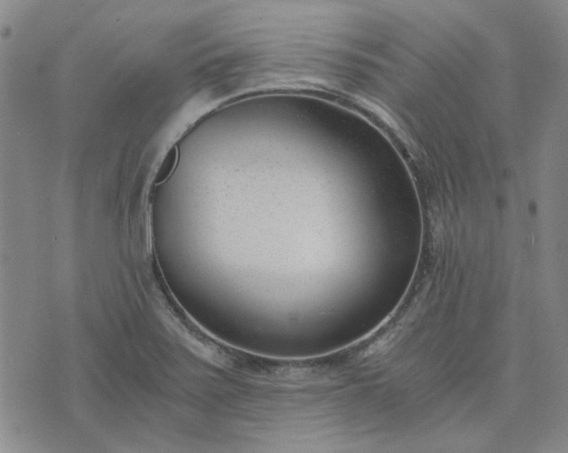 X0000076391371200610161129