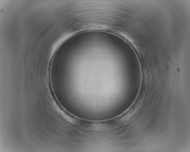 X0000076391379200610161129