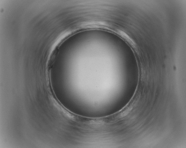 X0000076391384200610161129