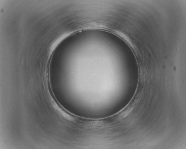 X0000076391387200610161129