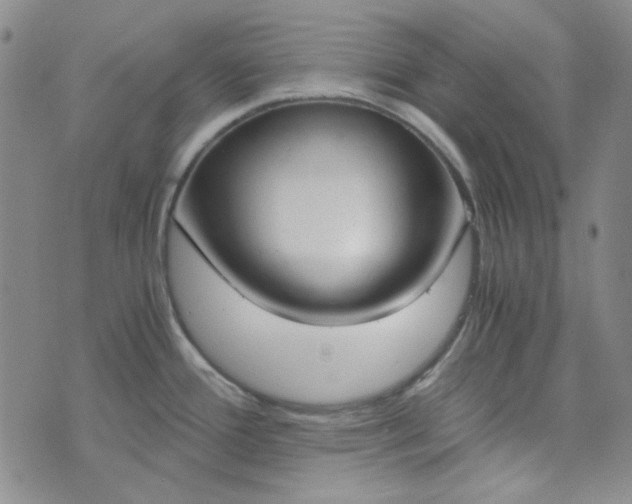 X0000076391388200610161129