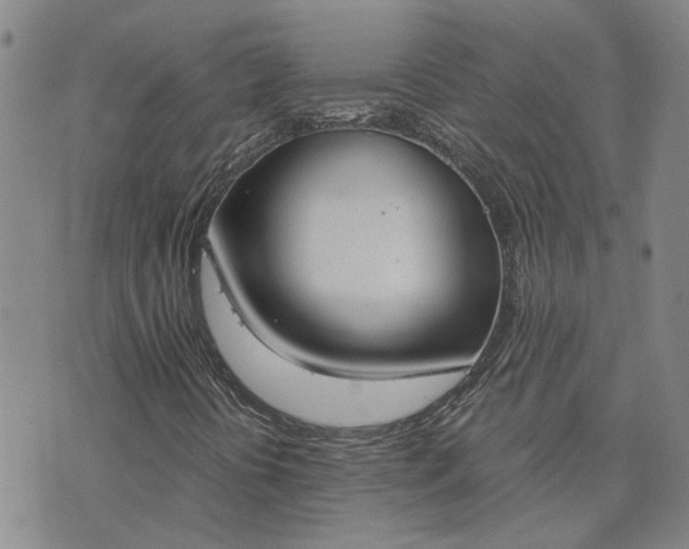 X0000076391394200610161128