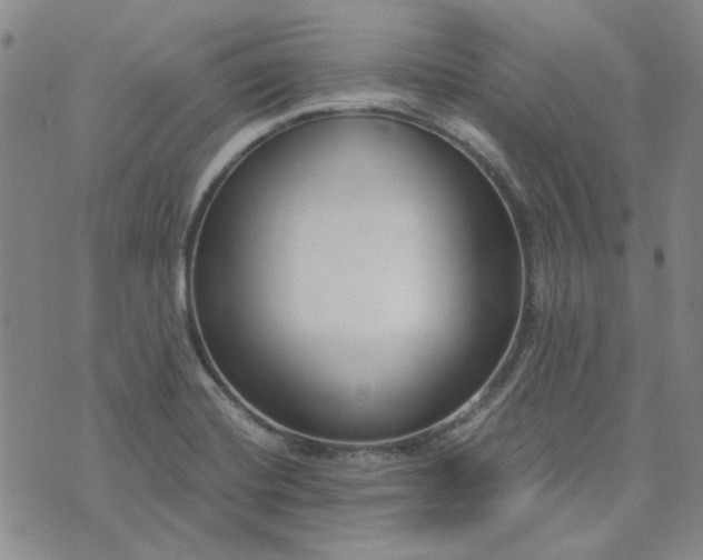 X0000076391420200610161129