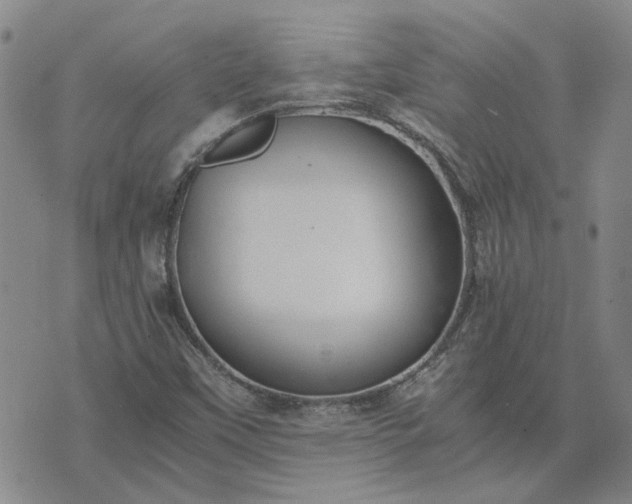 X0000076391451200610161128