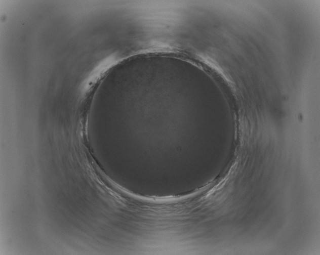 X0000076391455200610161128