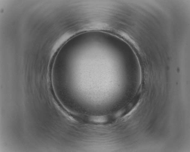 X0000076391469200610161128