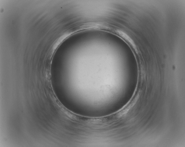 X0000076391481200610161128