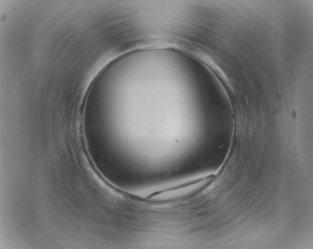 X0000076391484200610161128