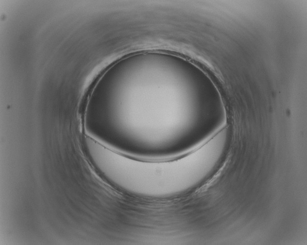 X0000076391509200610161127