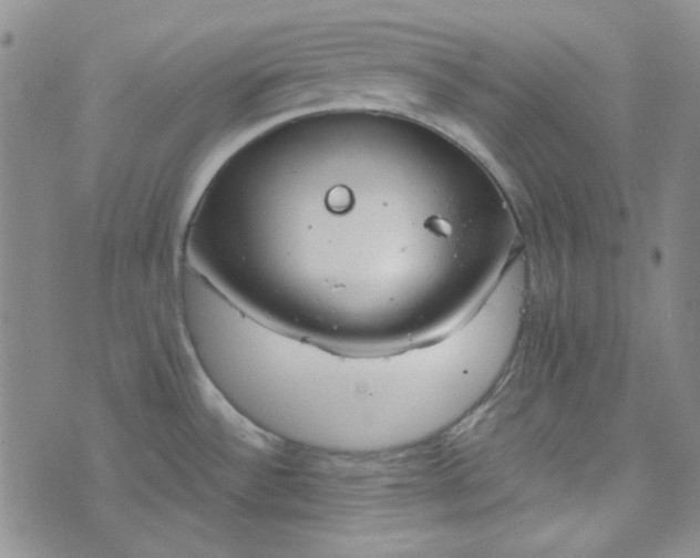 X0000076391532200610161127