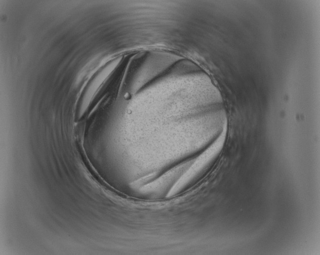 X0000076390002200610202116