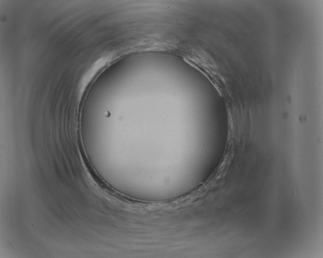 X0000076390003200610202116