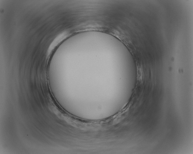 X0000076390004200610202116