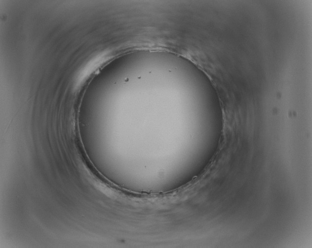 X0000076390005200610202116