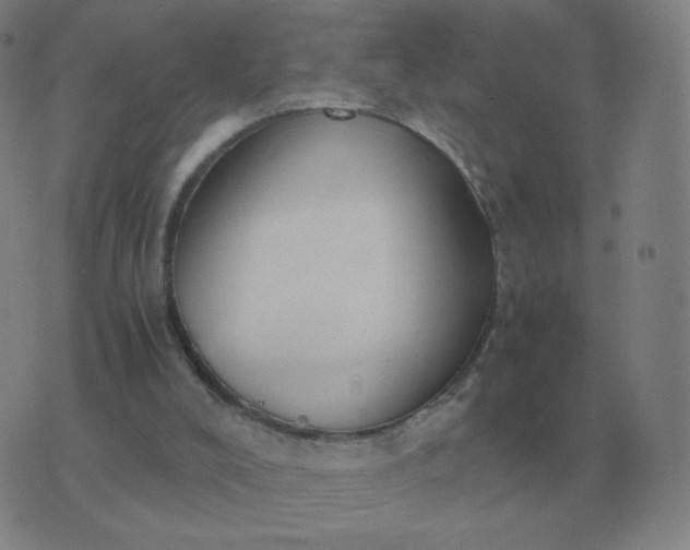 X0000076390008200610202116