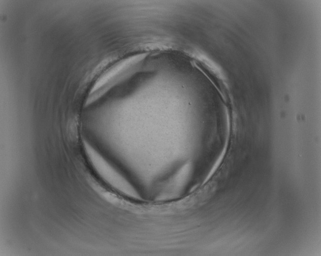 X0000076390009200610202116