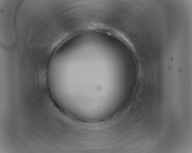 X0000076390010200610202116