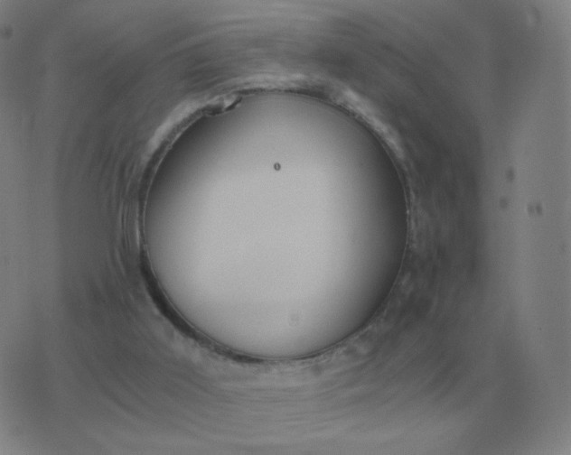 X0000076390011200610202116