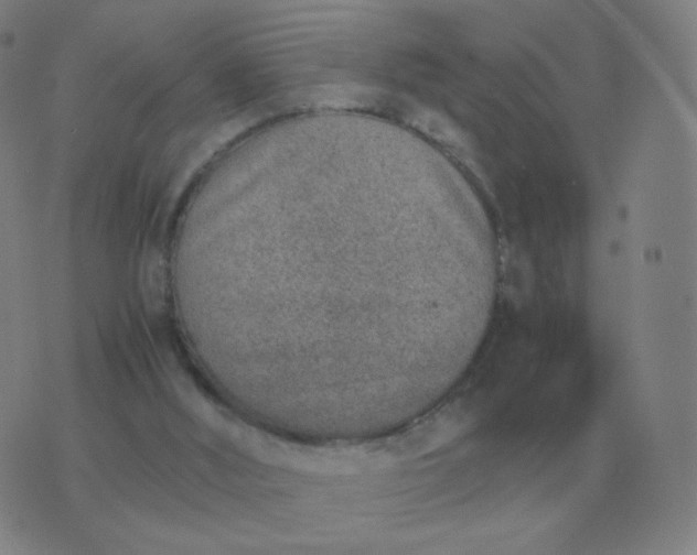 X0000076390012200610202116