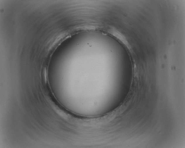 X0000076390013200610202116