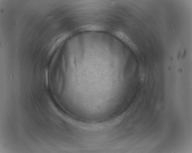 X0000076390014200610202116