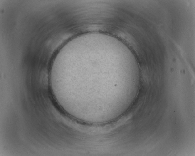 X0000076390016200610202116