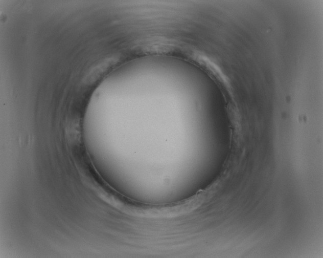 X0000076390017200610202116