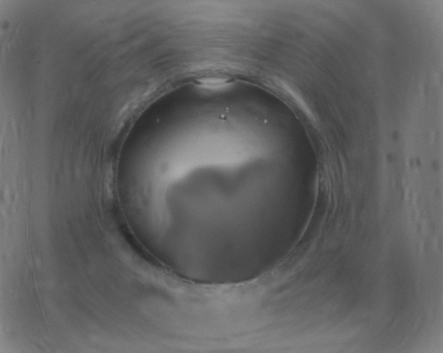 X0000076390023200610202115