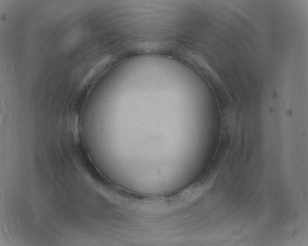 X0000076390024200610202115