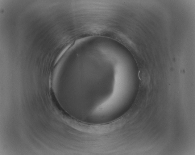 X0000076390027200610202115