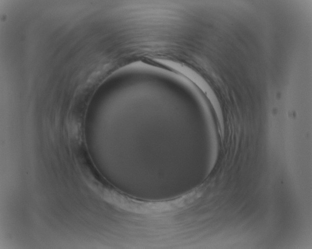 X0000076390031200610202115