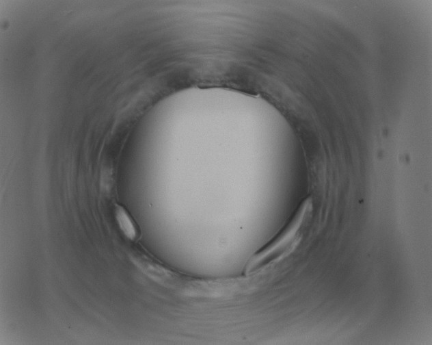 X0000076390033200610202115