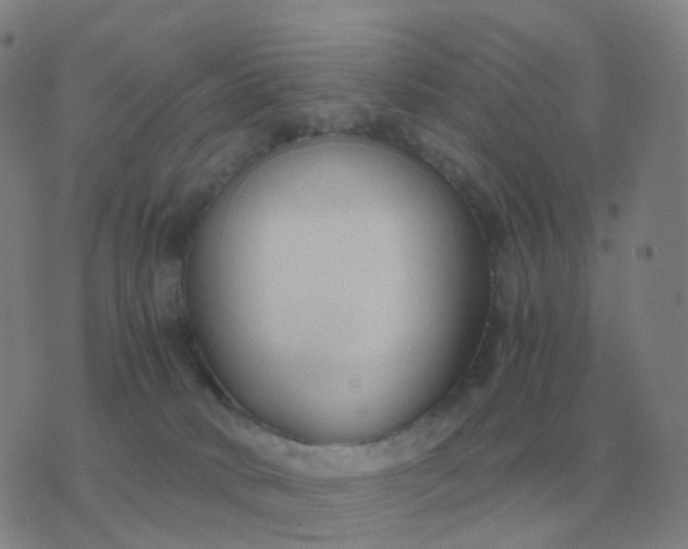 X0000076390034200610202115