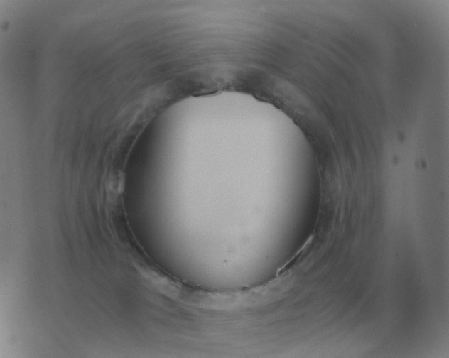 X0000076390037200610202115