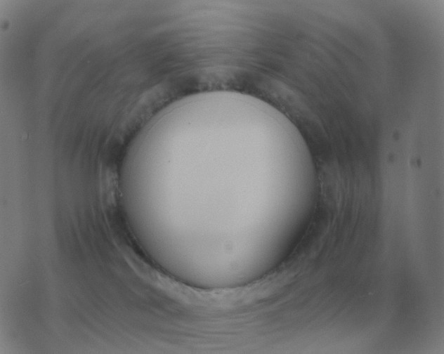 X0000076390038200610202115