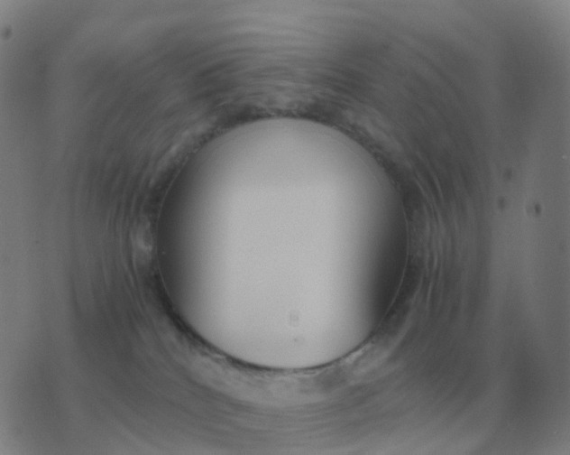 X0000076390040200610202115