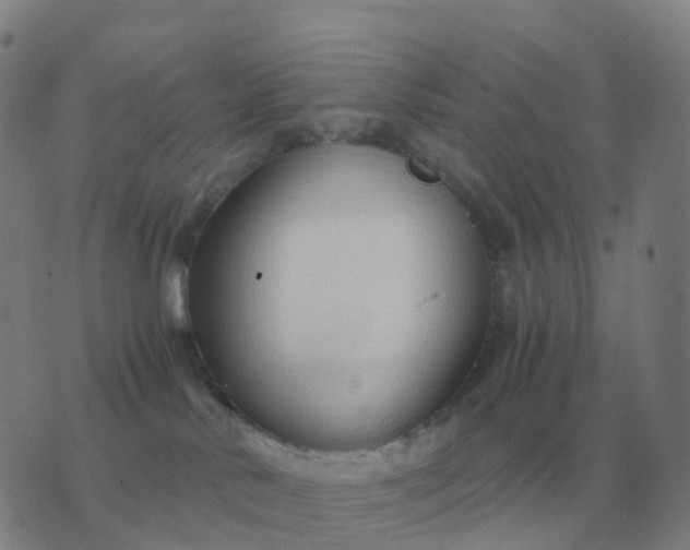 X0000076390042200610202115