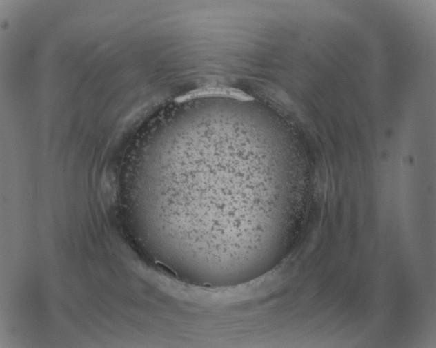 X0000076390043200610202115